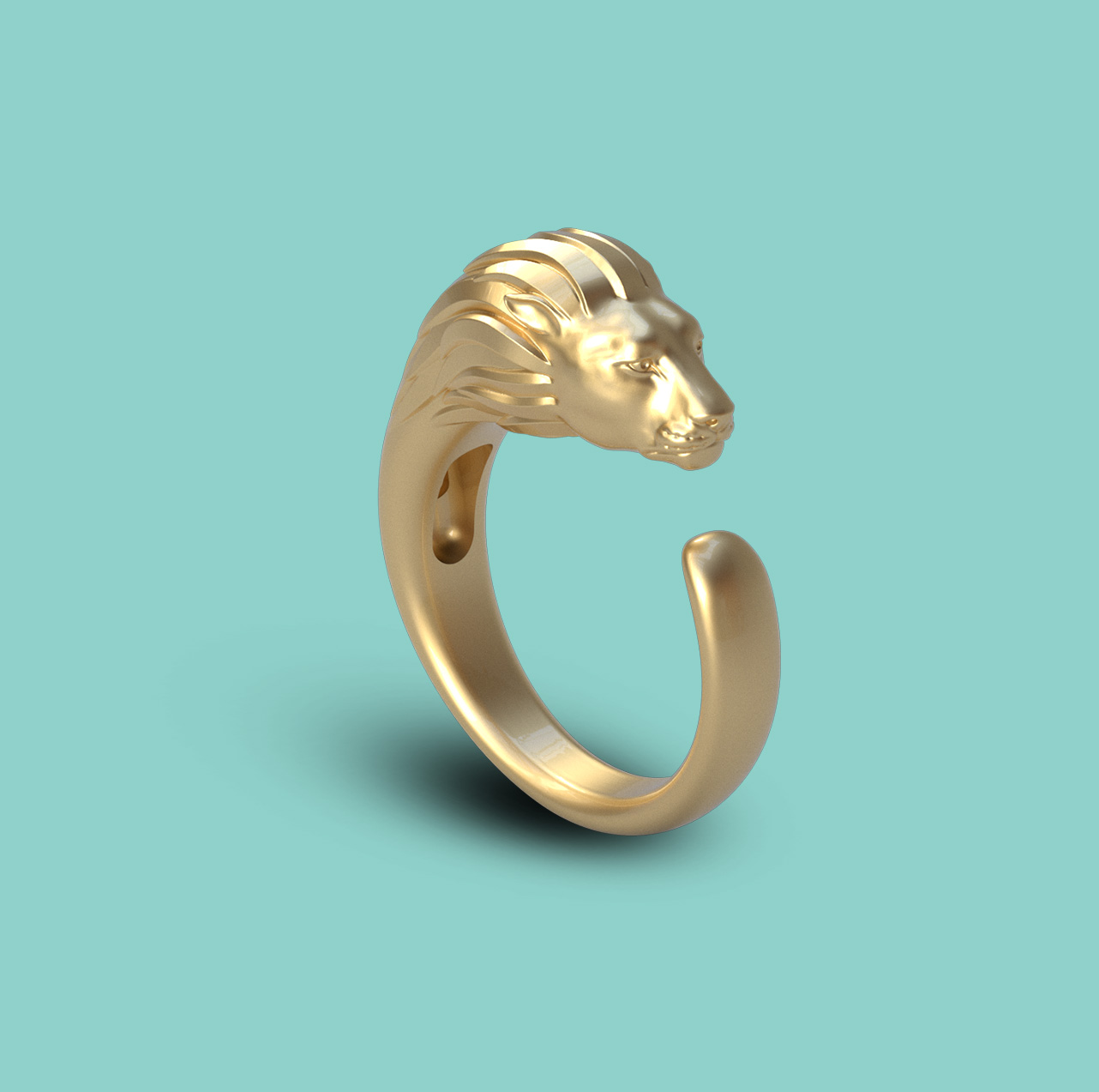list item image